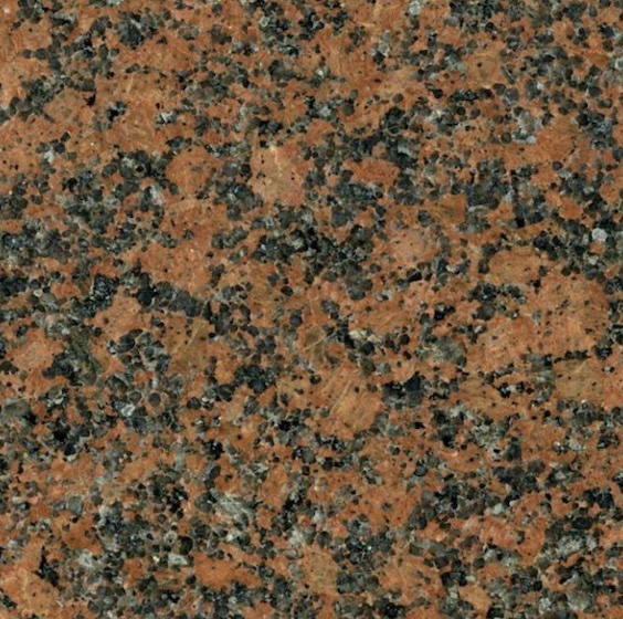 Kotka Red